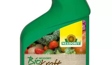 Bildvorschau