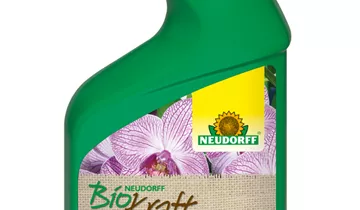Bildvorschau