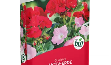 Bildvorschau