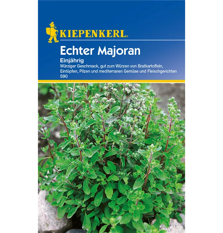 Origanum majorana