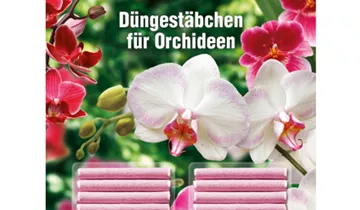 Bildvorschau