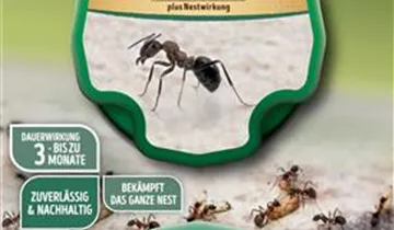 Bildvorschau
