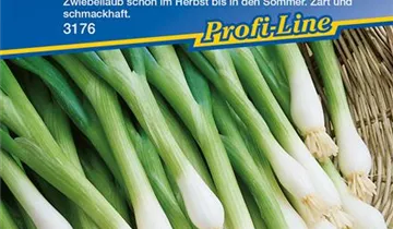 Bildvorschau