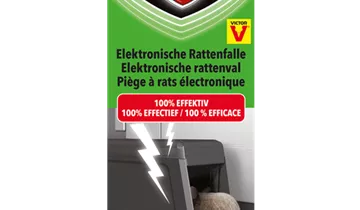 Bildvorschau