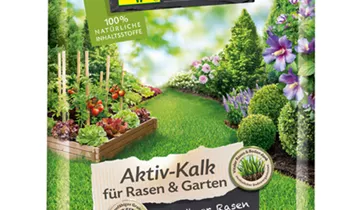Bildvorschau