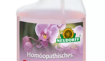 Bildvorschau