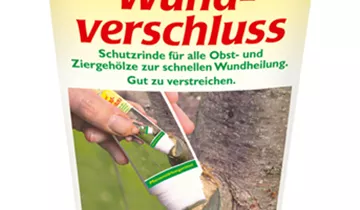 Bildvorschau