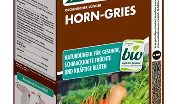 Bildvorschau