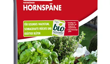 Bildvorschau