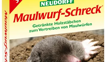 Bildvorschau