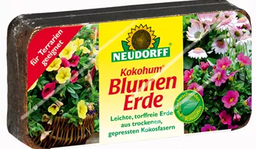 Bildvorschau