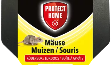 Bildvorschau
