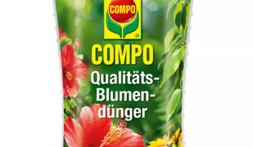 Bildvorschau