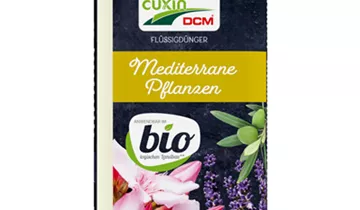 Bildvorschau