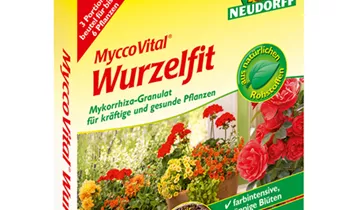 Bildvorschau