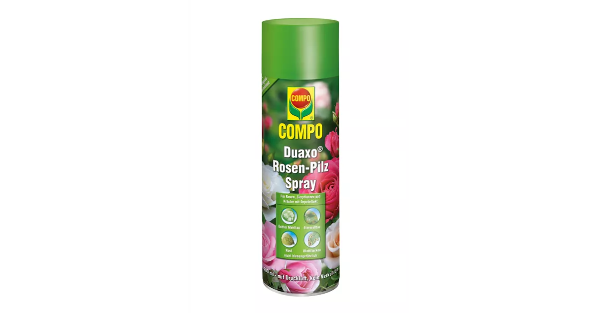 Compo Duaxo Rosen-Pilz-Spray - 1A Garten Ammer