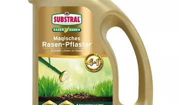 Bildvorschau