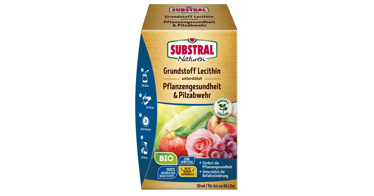 bio gemüse saatgut BIO-Saatgut-Set gemüse – 6 samenfeste Gemüsesorten für den