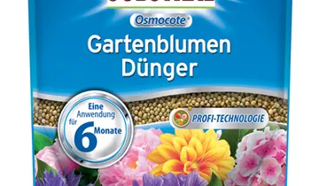 Bildvorschau