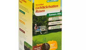 Bildvorschau