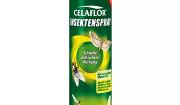 Bildvorschau