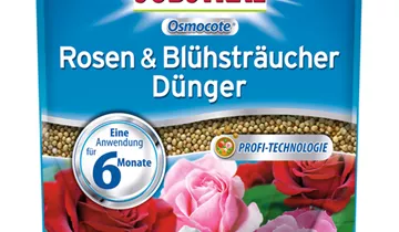 Bildvorschau