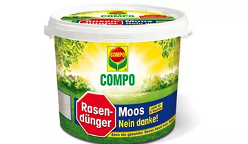Bildvorschau