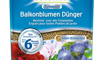 Bildvorschau
