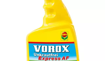 Bildvorschau