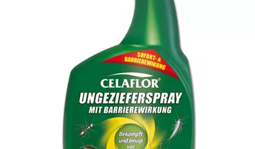 Bildvorschau