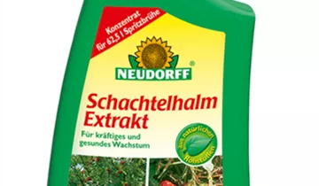 Bildvorschau
