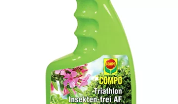 Bildvorschau