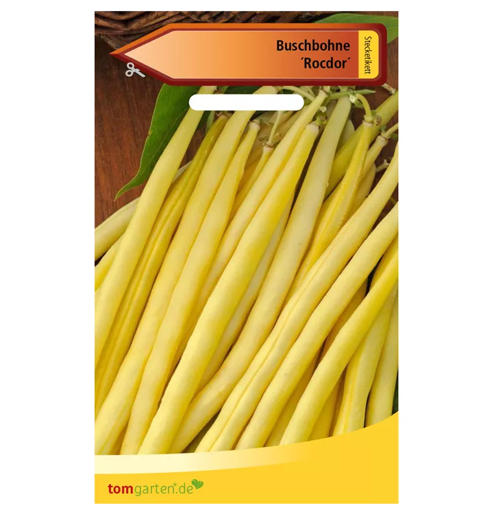Phaseolus vulgaris var. nanus 'Rocdor'