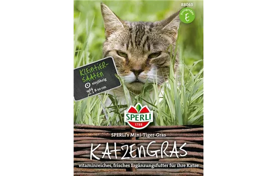 Katzengras