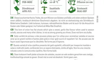 Bildvorschau
