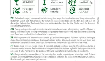 Bildvorschau