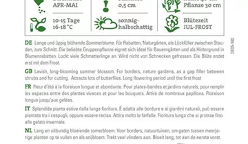 Bildvorschau
