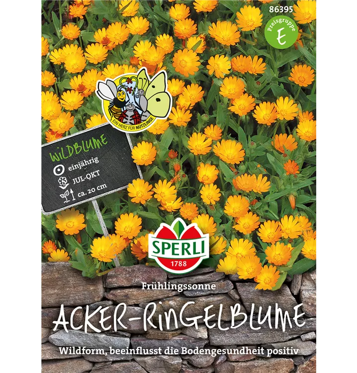 Calendula arvensis 'Frühlingssonne'