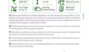 Bildvorschau