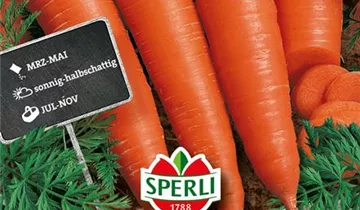 Bildvorschau