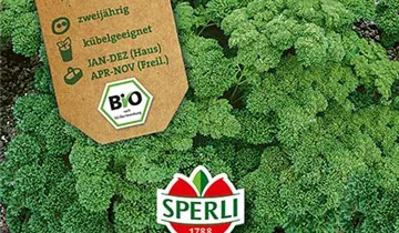 Bildvorschau