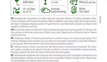 Bildvorschau