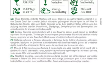 Bildvorschau