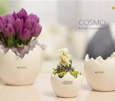 Kübel Deko Cosmo weiß-creme