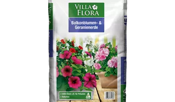 Bildvorschau