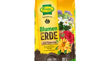 Bildvorschau