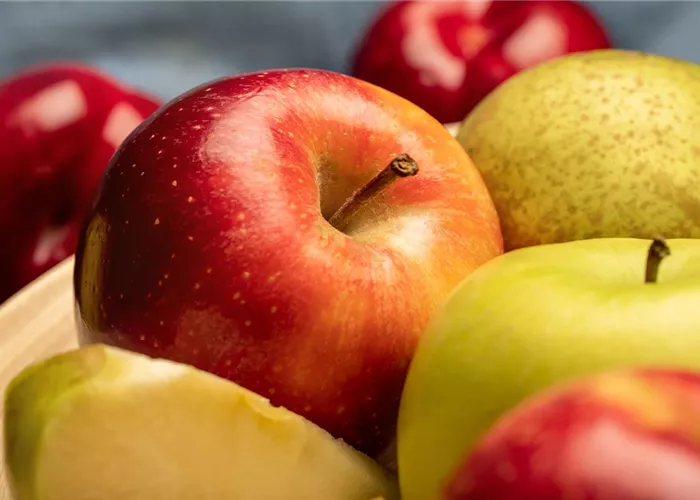 Obst