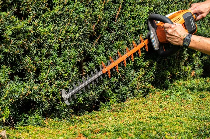 Akku-Heckenscheren kaufen und die Gartenarbeit wird zum Kinderspiel