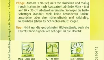 Bildvorschau