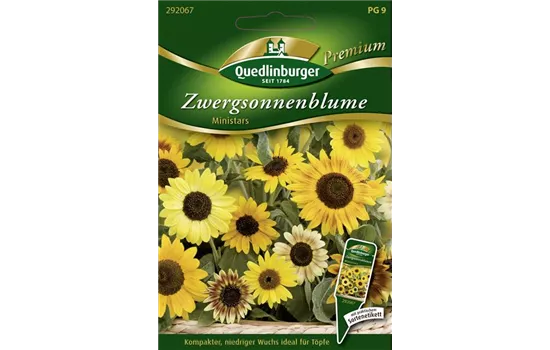 Sonnenblumensamen 'Ministars'